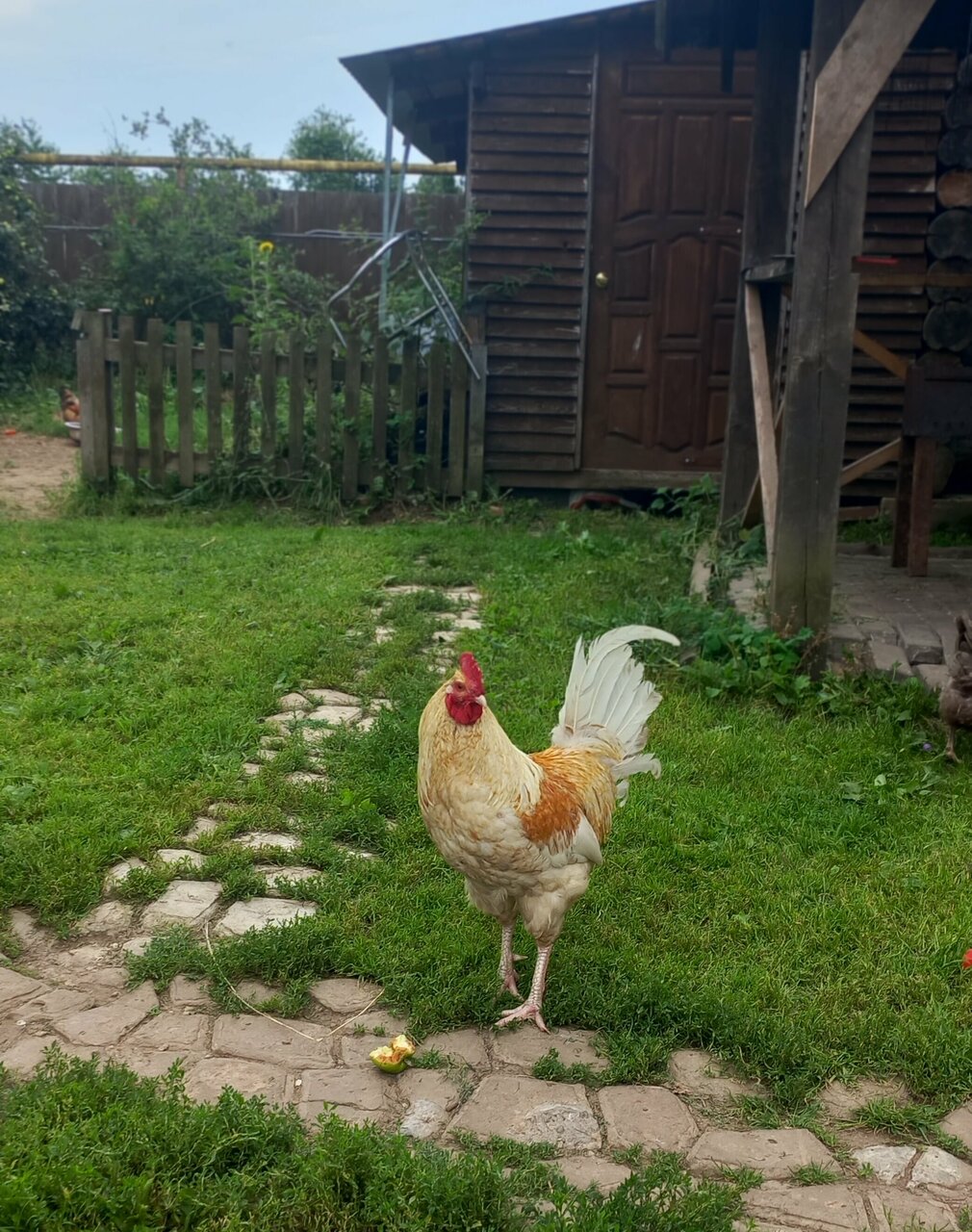 Гостиница Гостевой дом литейщика Никуличева Суздаль-37