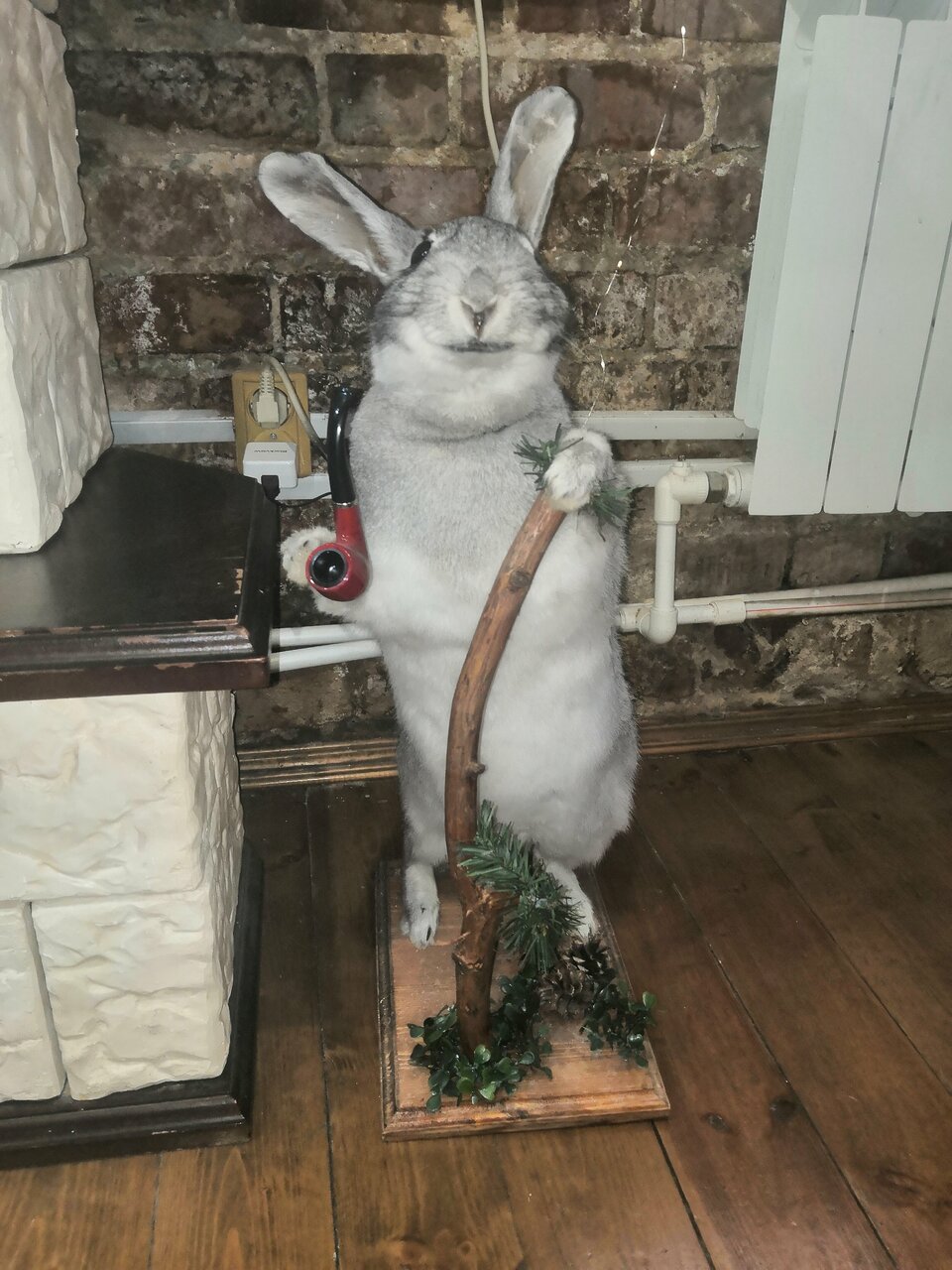 Гостиница Гостевой дом литейщика Никуличева Суздаль