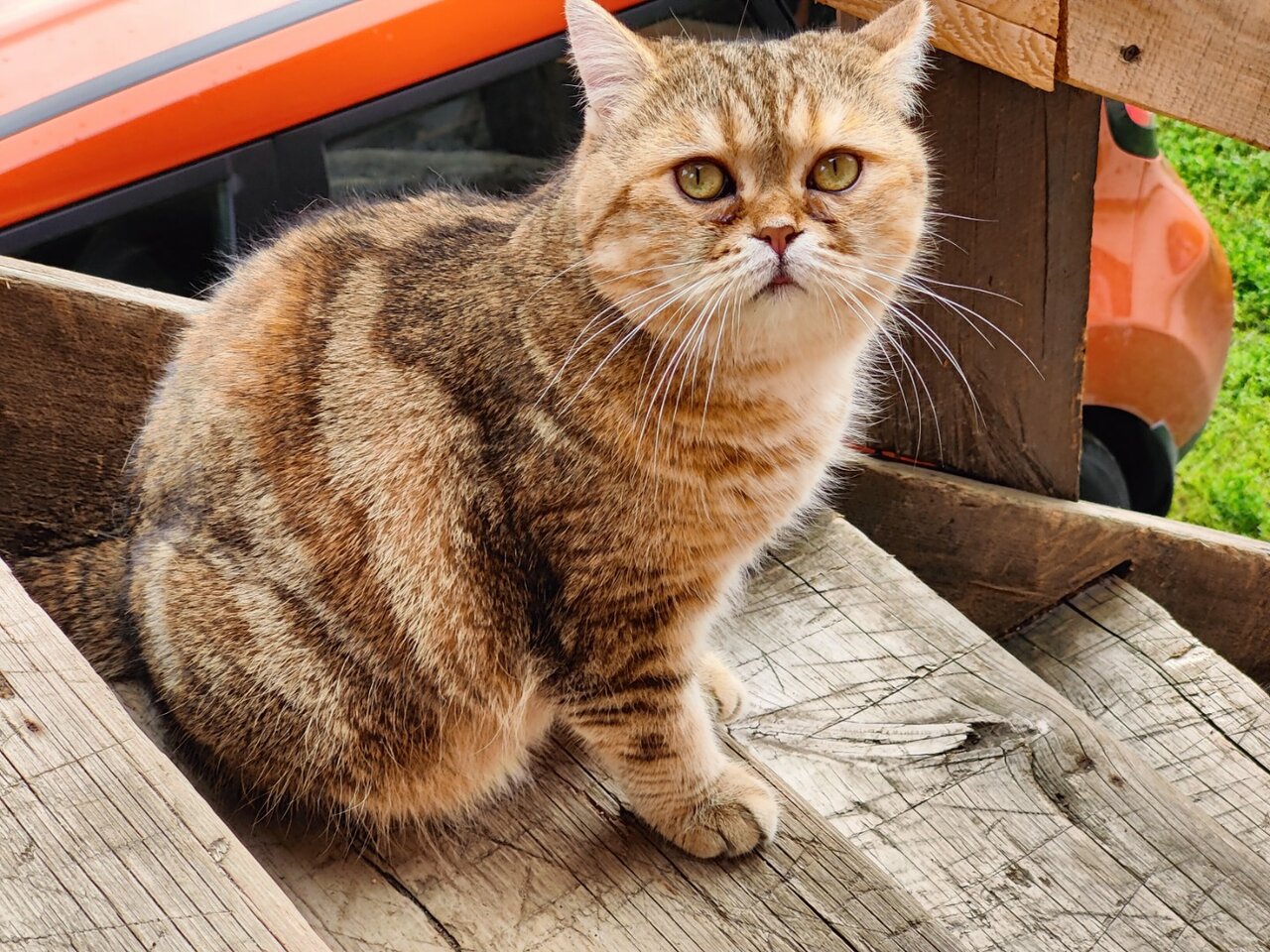Гостиница Гостевой дом литейщика Никуличева Суздаль-195