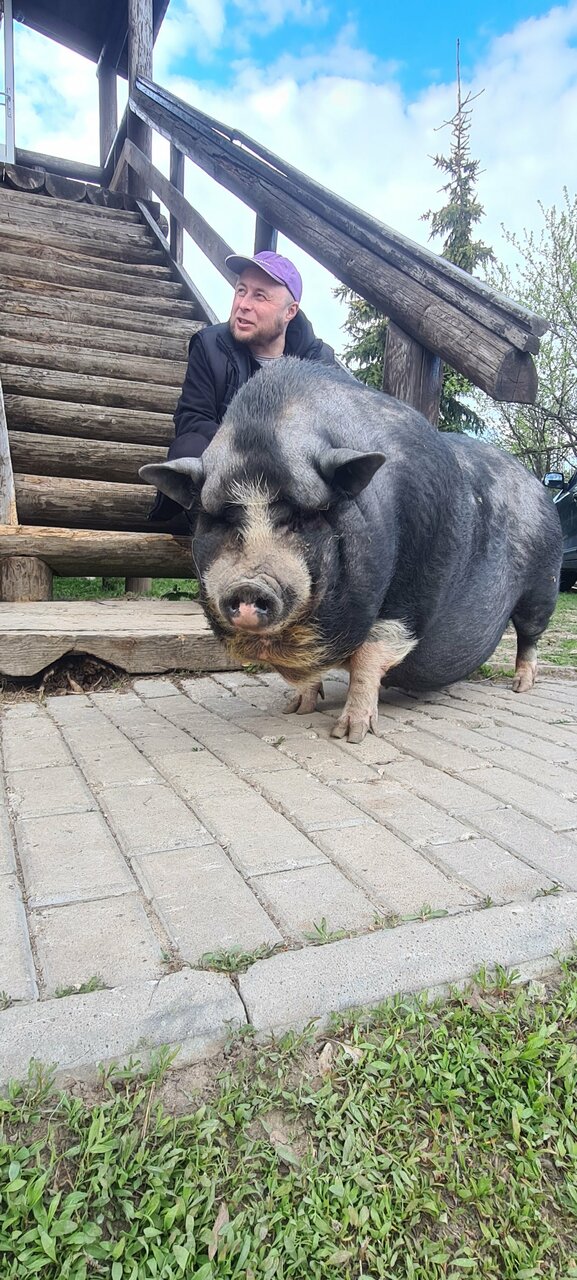 Гостиница Гостевой дом литейщика Никуличева Суздаль-82