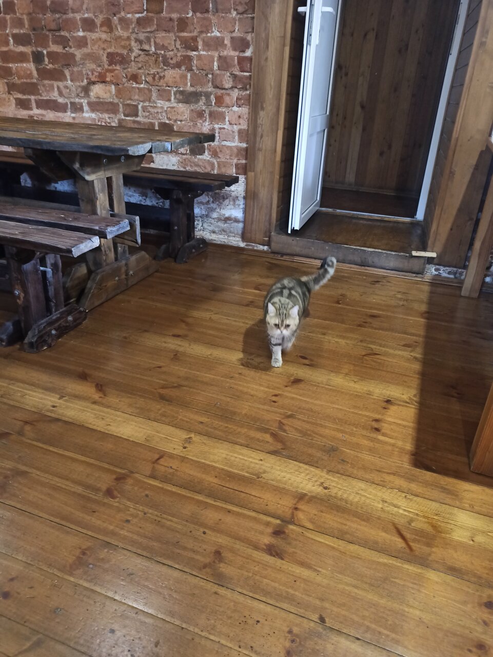 Гостиница Гостевой дом литейщика Никуличева Суздаль-206