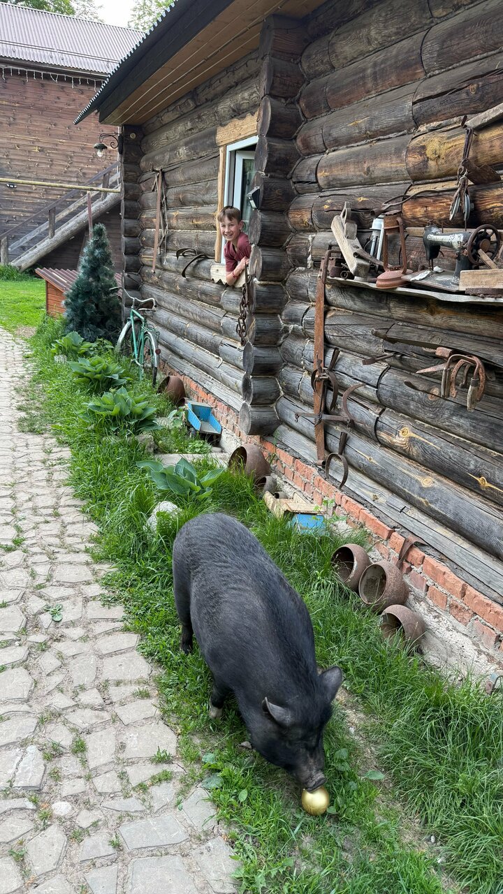 Гостиница Гостевой дом литейщика Никуличева Суздаль-232