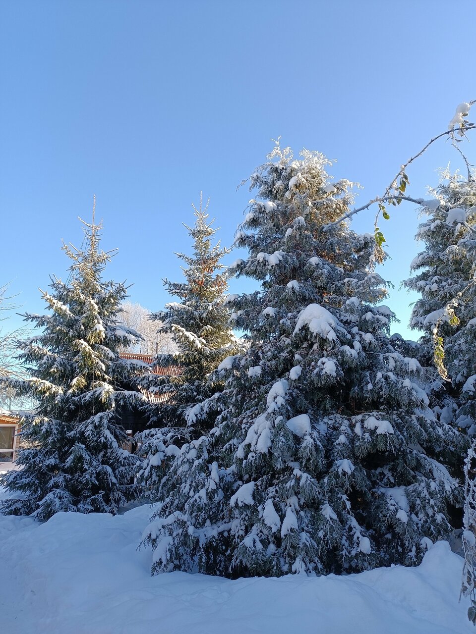 Гостиница Гостевой дом литейщика Никуличева Суздаль-98