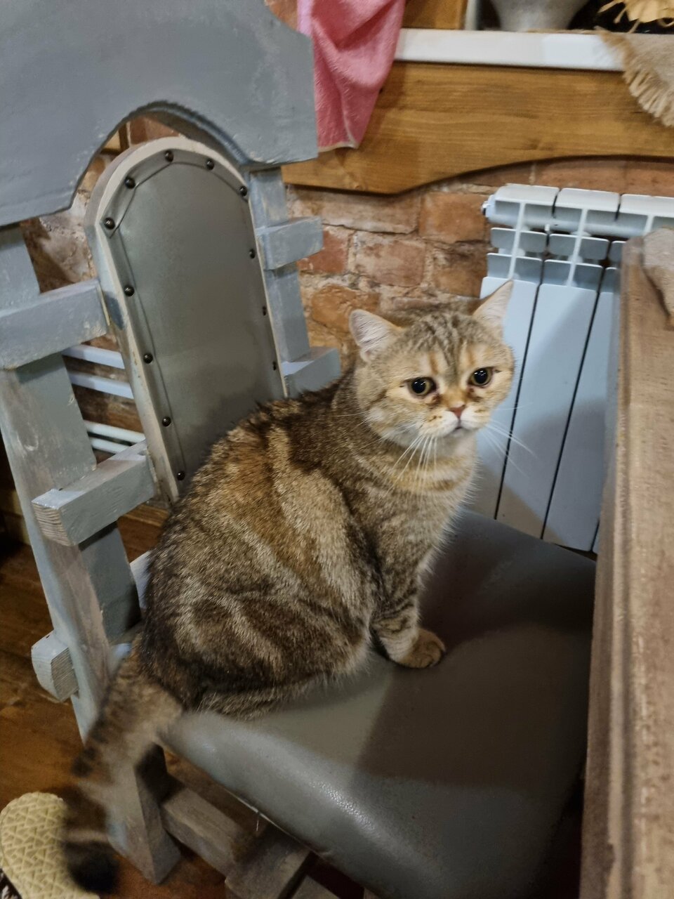 Гостиница Гостевой дом литейщика Никуличева Суздаль-161