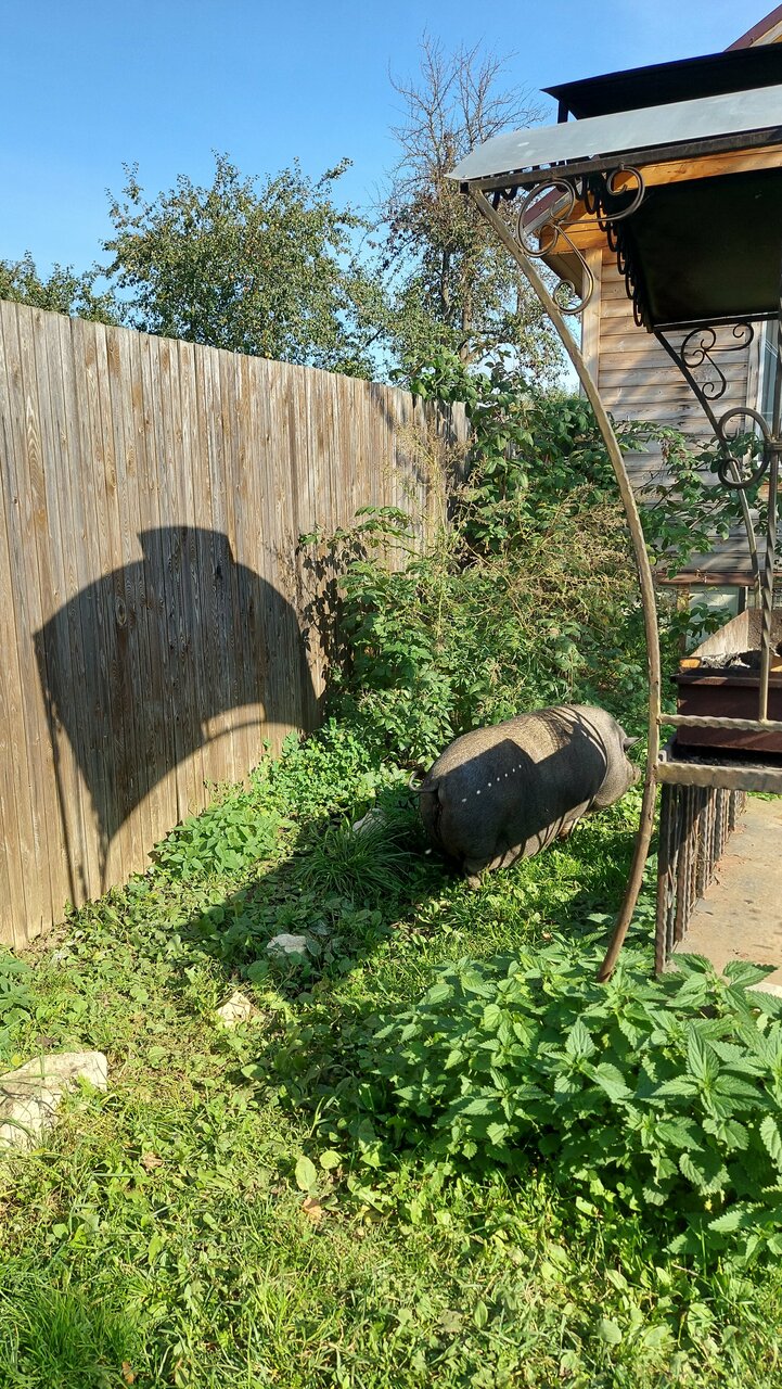 Гостиница Гостевой дом литейщика Никуличева Суздаль-136