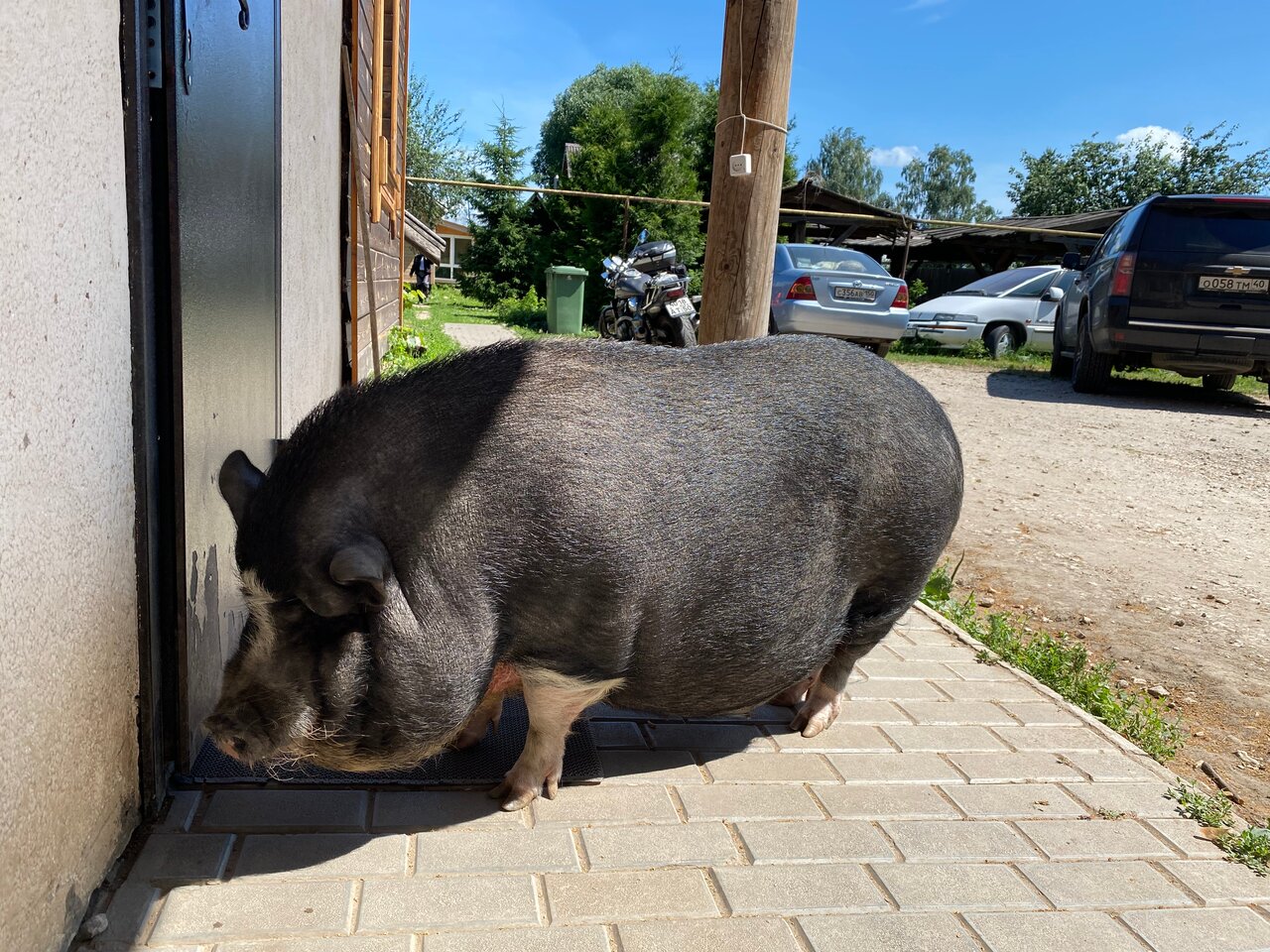 Гостиница Гостевой дом литейщика Никуличева Суздаль-229