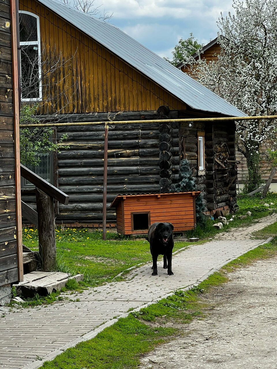 Гостиница Гостевой дом литейщика Никуличева Суздаль-181
