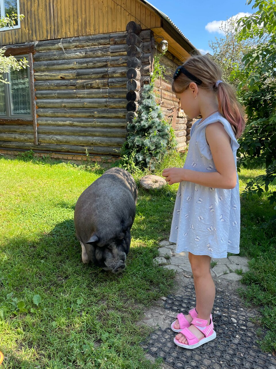 Гостиница Гостевой дом литейщика Никуличева Суздаль-102