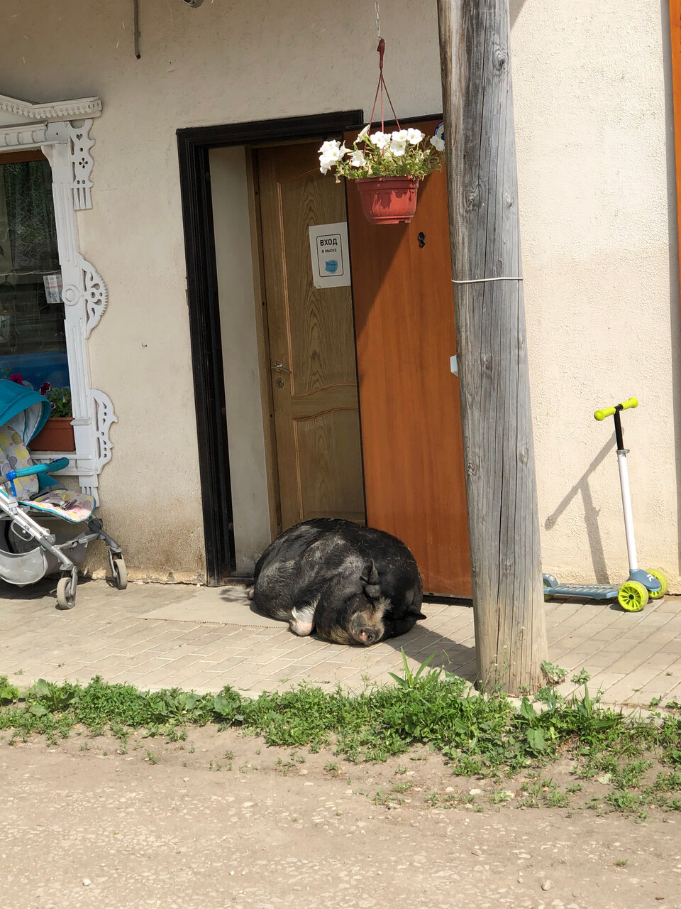 Гостиница Гостевой дом литейщика Никуличева Суздаль-185