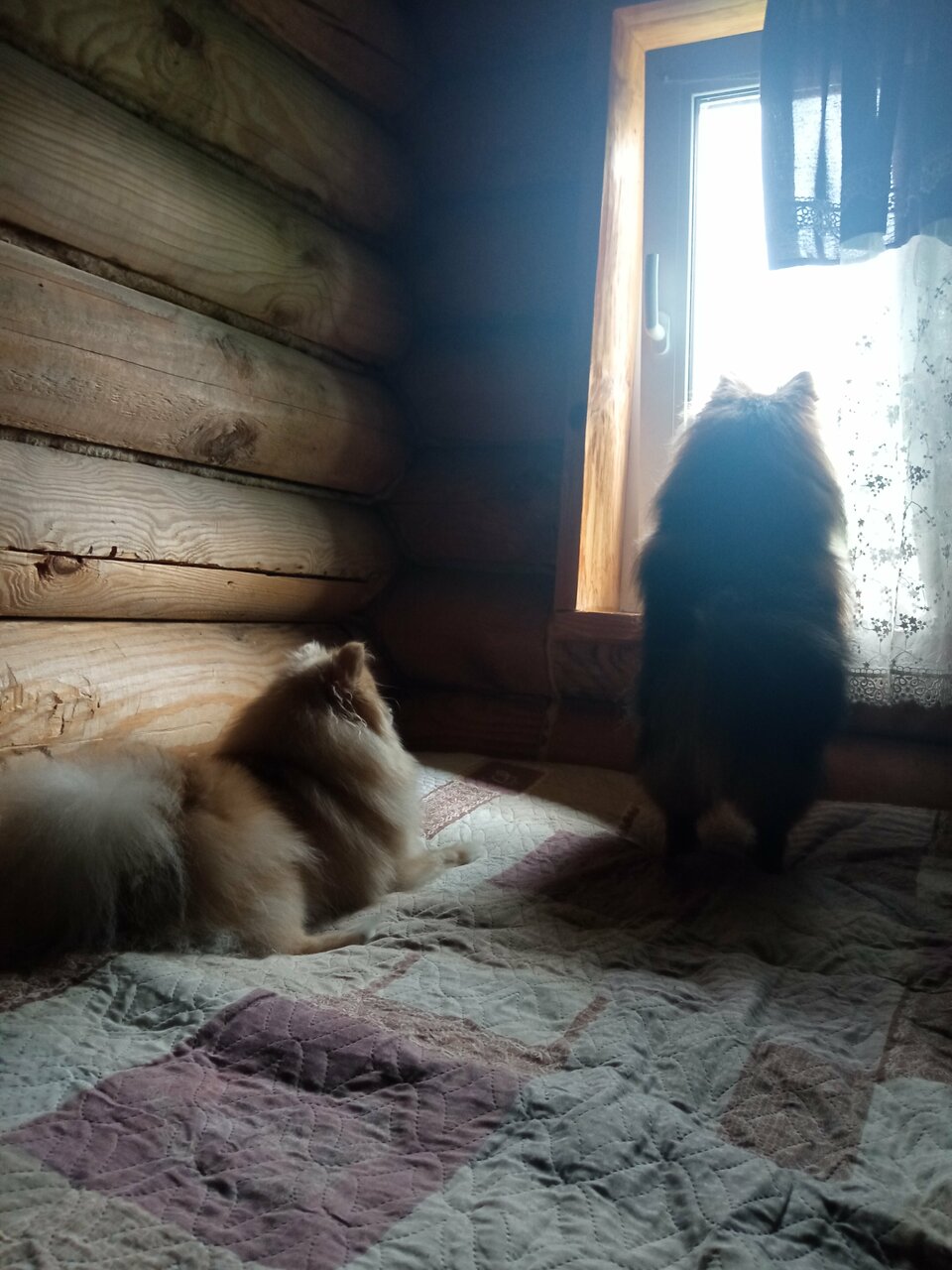 Гостиница Гостевой дом литейщика Никуличева Суздаль-153