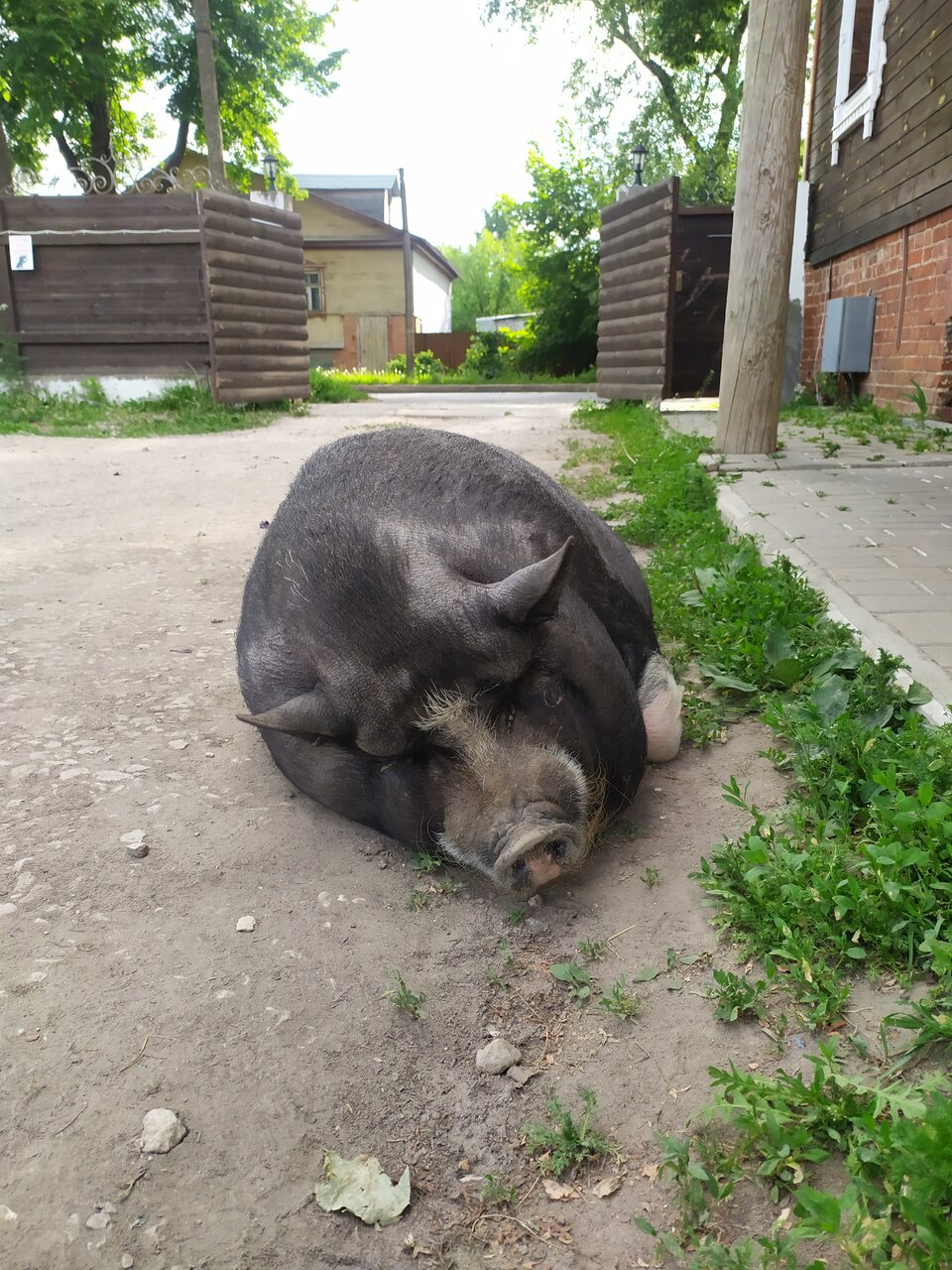 Гостиница Гостевой дом литейщика Никуличева Суздаль-67