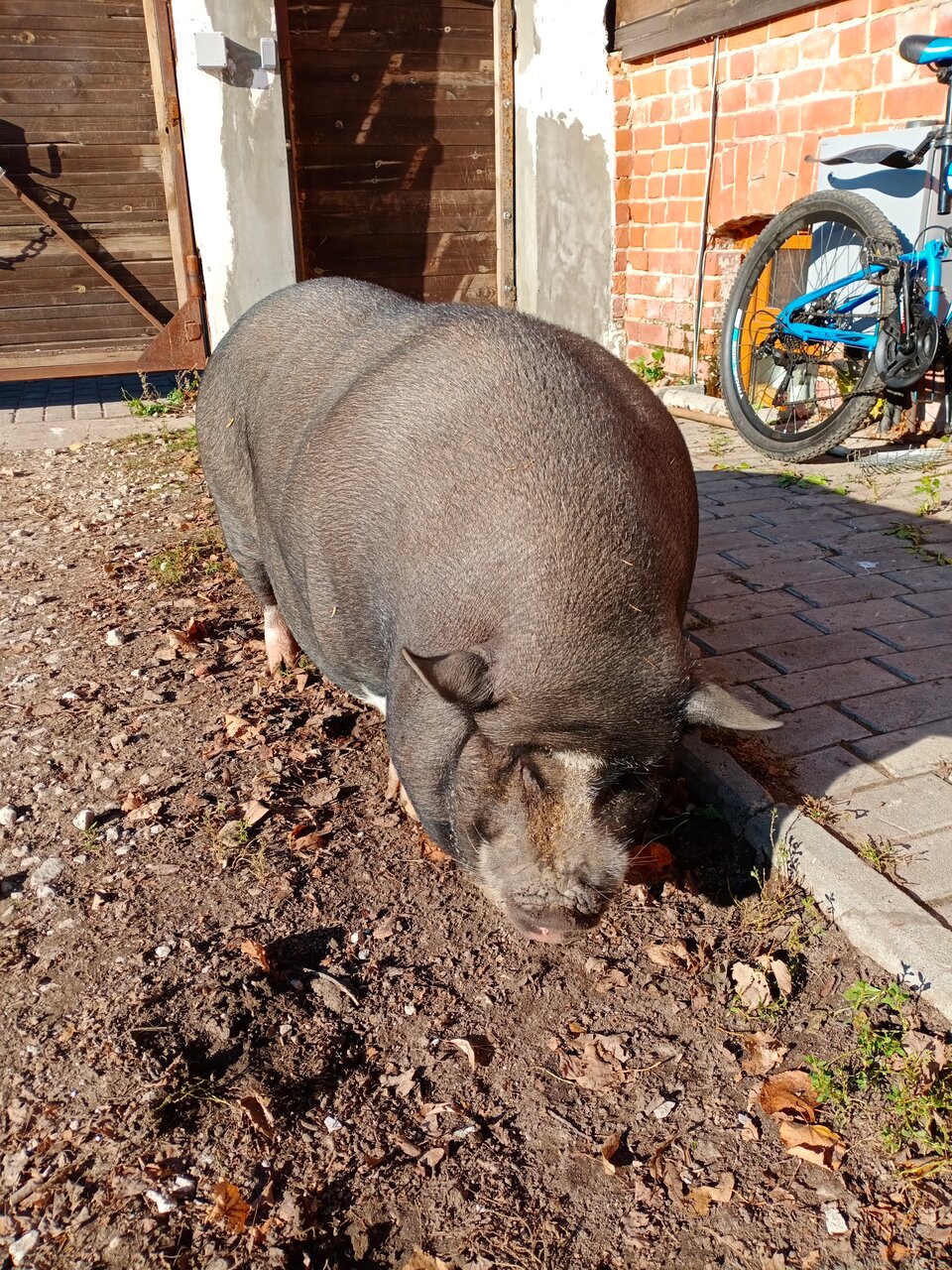 Гостиница Гостевой дом литейщика Никуличева Суздаль-209