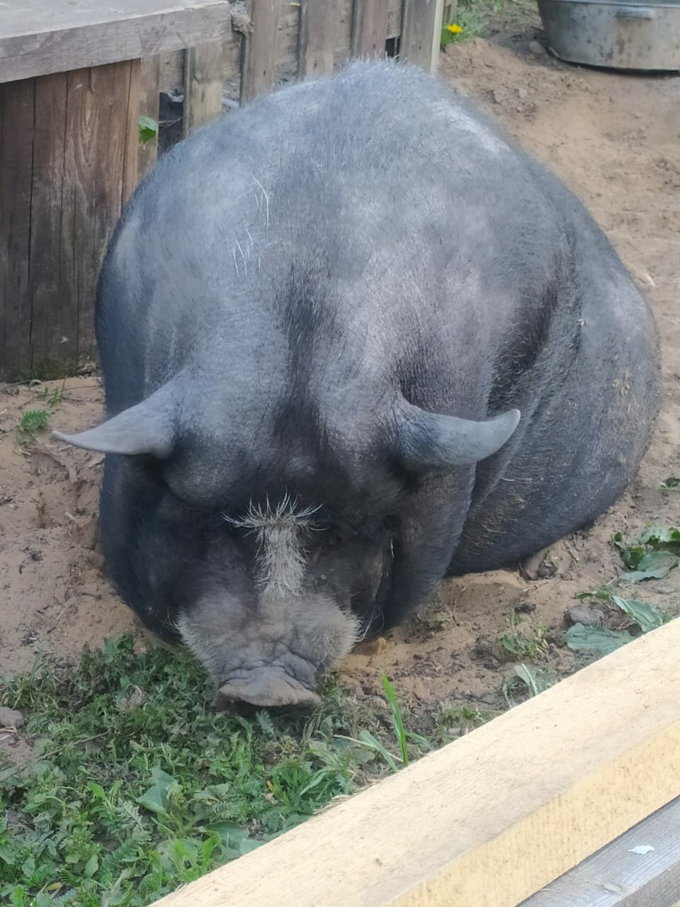 Гостиница Гостевой дом литейщика Никуличева Суздаль