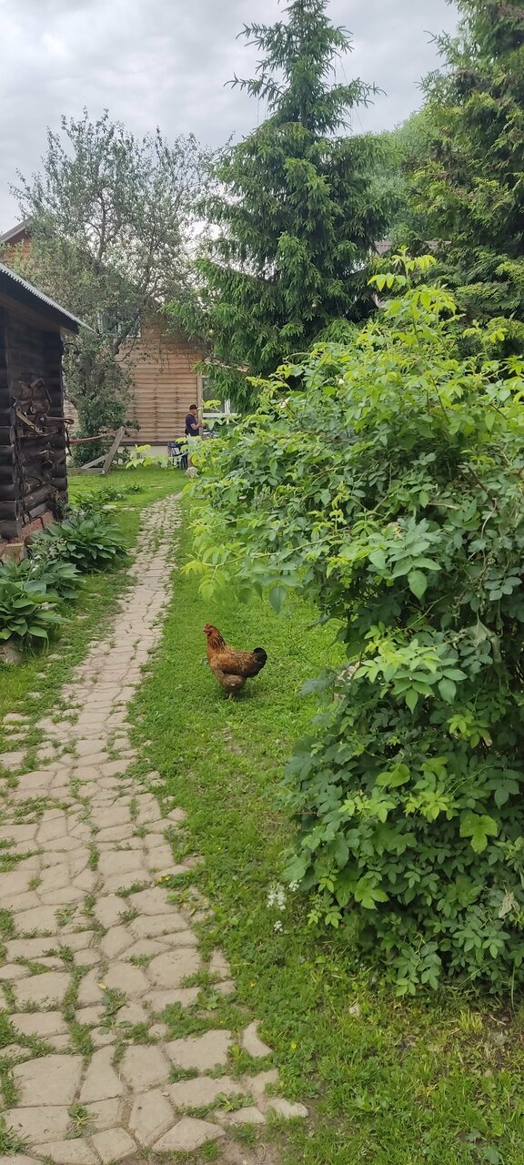 Гостиница Гостевой дом литейщика Никуличева Суздаль-159