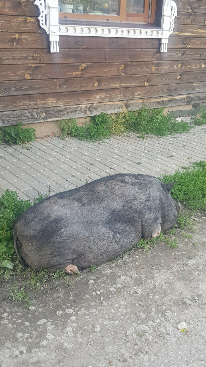 Гостиница Гостевой дом литейщика Никуличева Суздаль-166