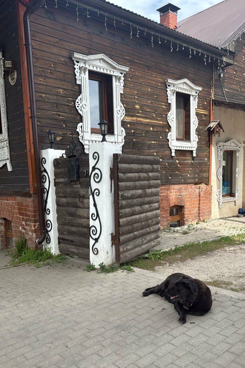 Гостиница Гостевой дом литейщика Никуличева Суздаль-106