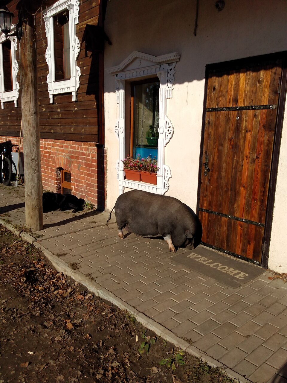 Гостиница Гостевой дом литейщика Никуличева Суздаль-149