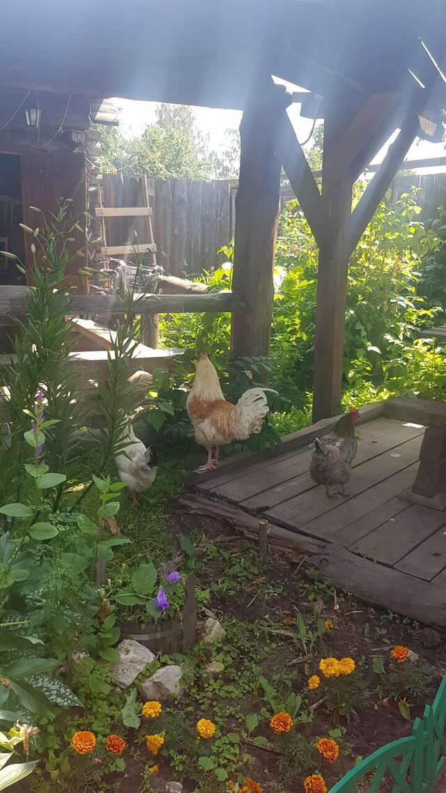 Гостиница Гостевой дом литейщика Никуличева Суздаль-235