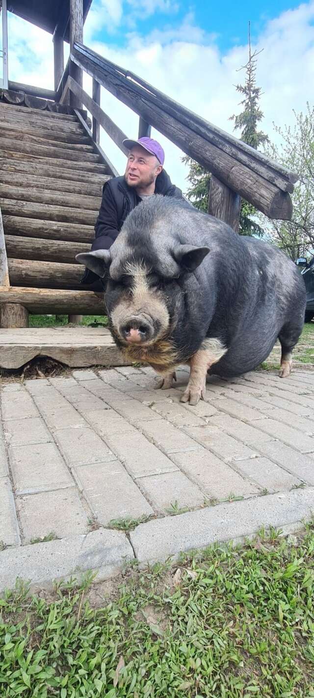 Гостиница Гостевой дом литейщика Никуличева Суздаль-81