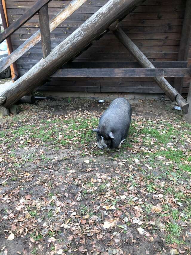 Гостиница Гостевой дом литейщика Никуличева Суздаль-138
