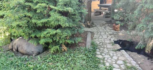 Гостиница Гостевой дом литейщика Никуличева Суздаль-154