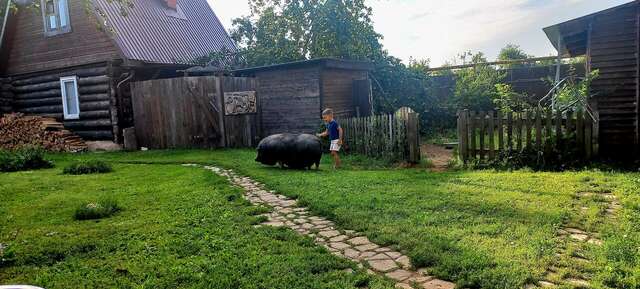 Гостиница Гостевой дом литейщика Никуличева Суздаль-57