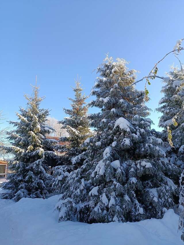 Гостиница Гостевой дом литейщика Никуличева Суздаль-97