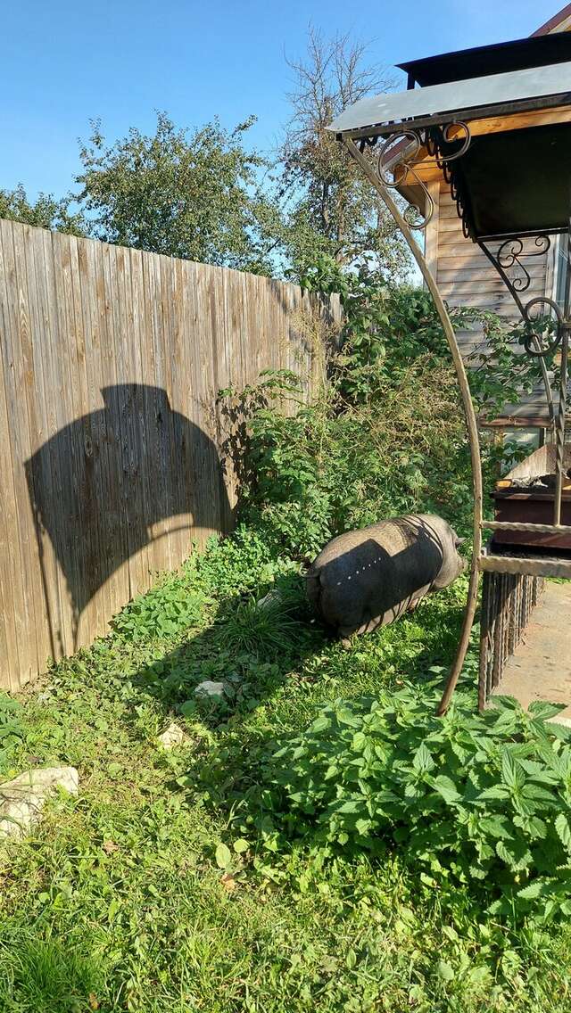 Гостиница Гостевой дом литейщика Никуличева Суздаль-135