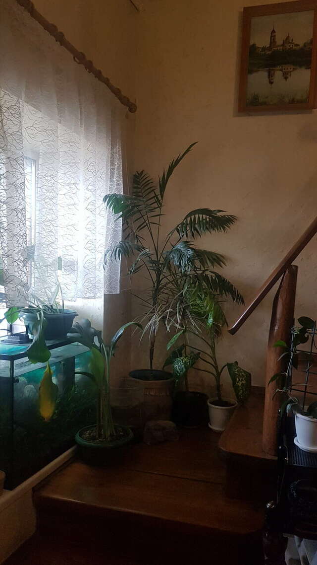 Гостиница Гостевой дом литейщика Никуличева Суздаль-88