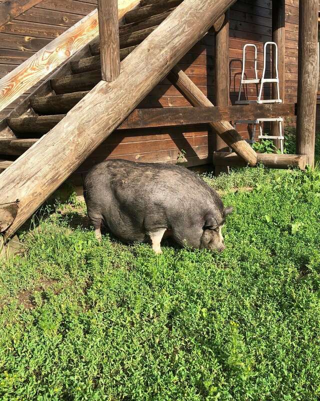 Гостиница Гостевой дом литейщика Никуличева Суздаль-167