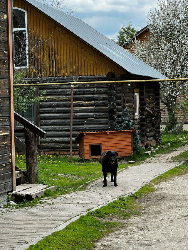 Гостиница Гостевой дом литейщика Никуличева Суздаль-180
