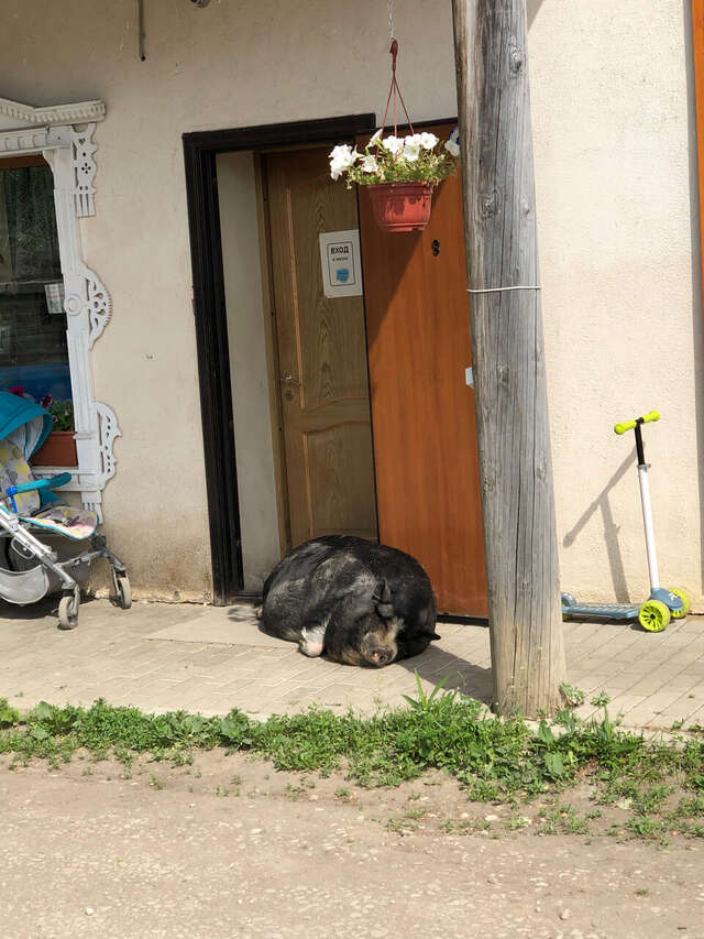 Гостиница Гостевой дом литейщика Никуличева Суздаль-184