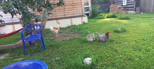 Гостиница Гостевой дом литейщика Никуличева Суздаль-211