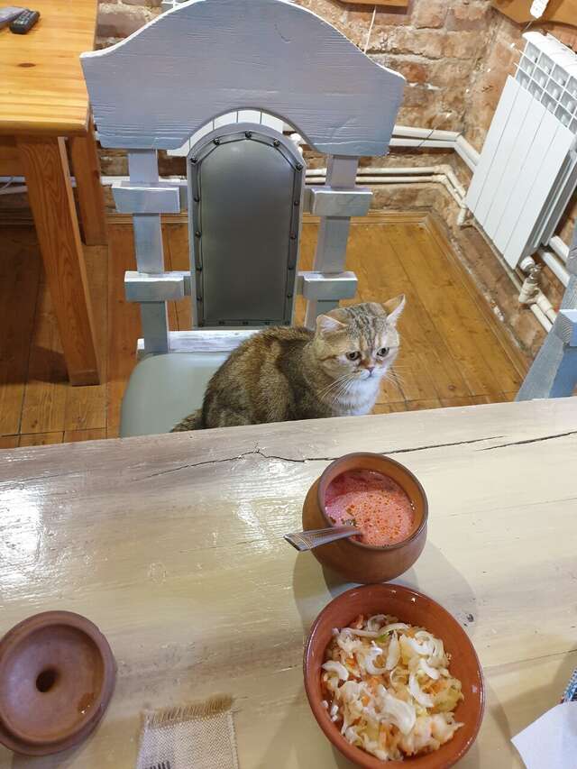 Гостиница Гостевой дом литейщика Никуличева Суздаль-115