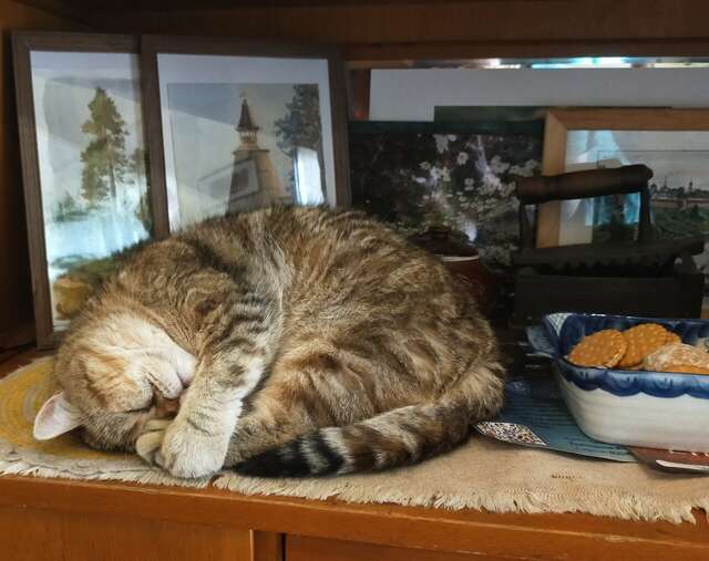 Гостиница Гостевой дом литейщика Никуличева Суздаль-172