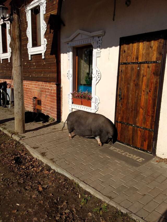 Гостиница Гостевой дом литейщика Никуличева Суздаль-148