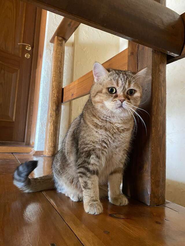 Гостиница Гостевой дом литейщика Никуличева Суздаль-53